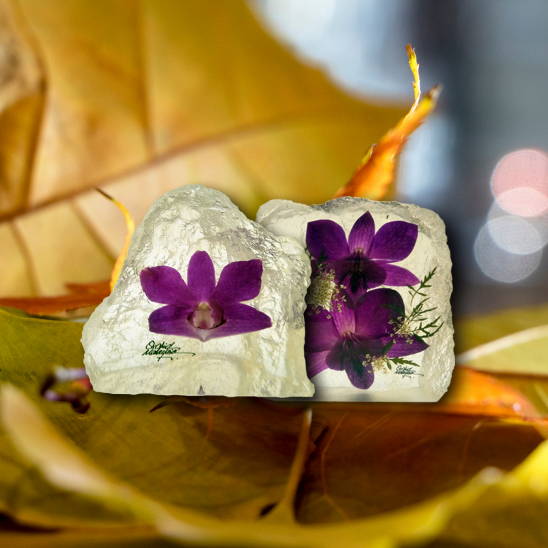 The Beauty of Orchid Paperweight - Malaysian Souvenir