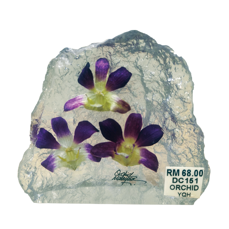 Paperweight with 3 real orchid flowers DC151