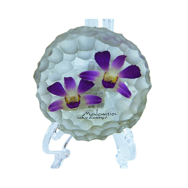 Orchids Paperweight DC252a