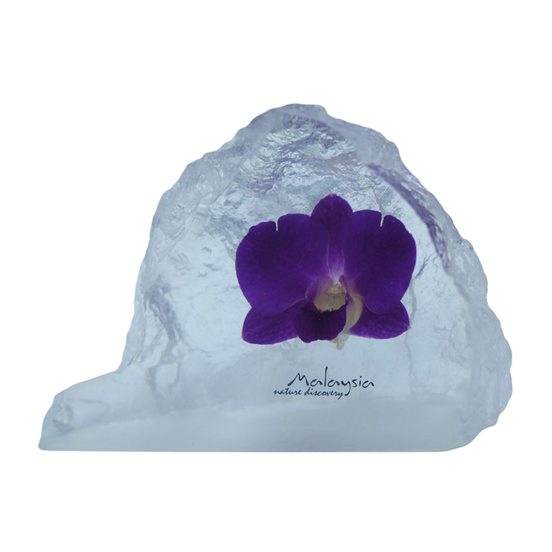 Orchid Paperweight DC150a