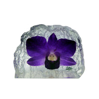 Orchid Paperweight DC150b