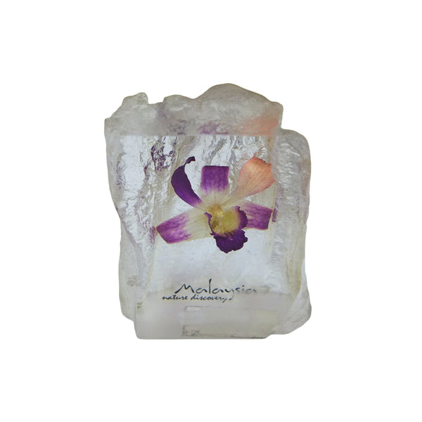 Orchid Paperweight DC153b