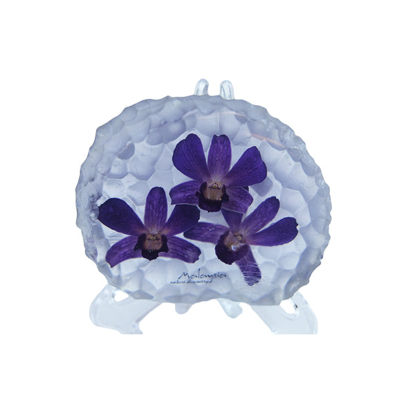 Orchids Paperweight DC250a